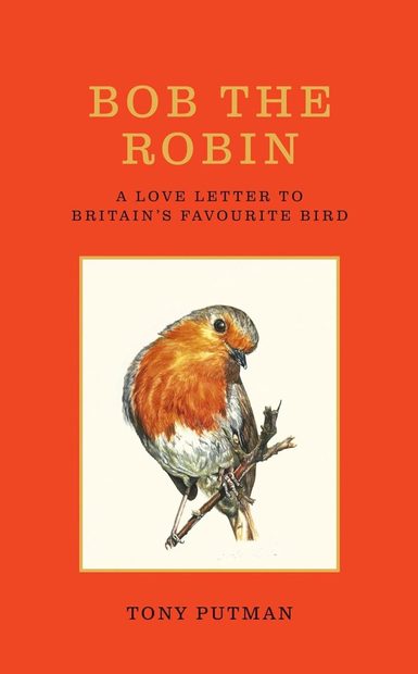 Bob the Robin