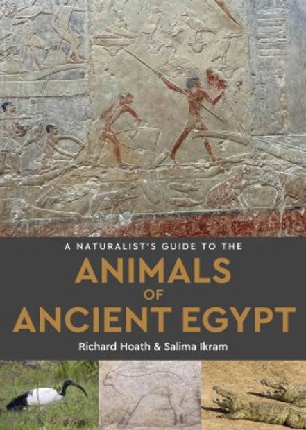 The Animals of Ancient Egypt
