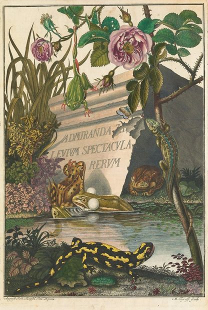 J.G. Schneider’s Historiae Amphibiorum