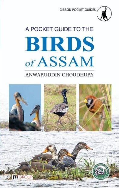 A Pocket Guide to the Birds of Assam