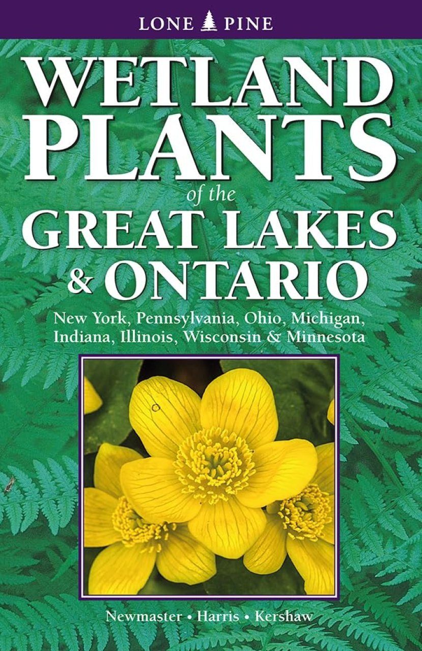 Wetland Plants of the Great Lakes and Ontario | NHBS Field Guides ...