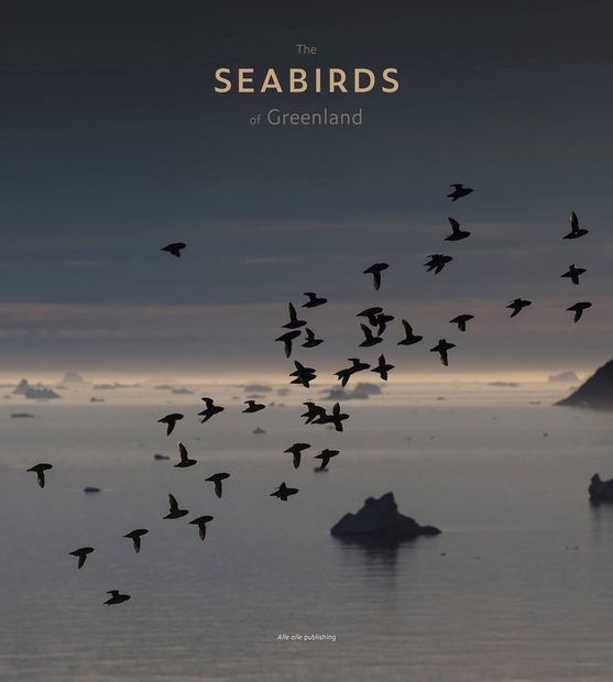 The Seabirds of Greenland