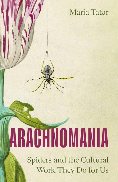 Arachnomania