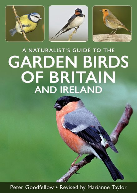 A Naturalist's Guide to Garden Birds of Britain and Ireland