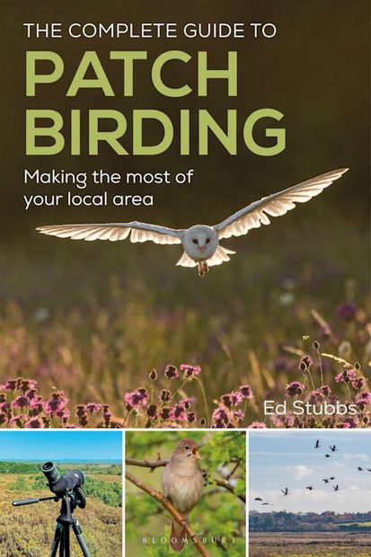 The Complete Guide to Patch Birding