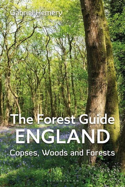 The Forest Guide England