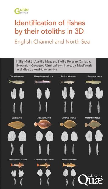 Identification of Fishes by Their Otoliths in 3D