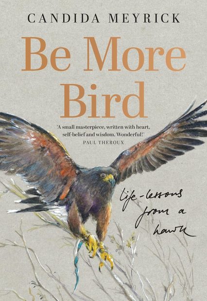 Be More Bird