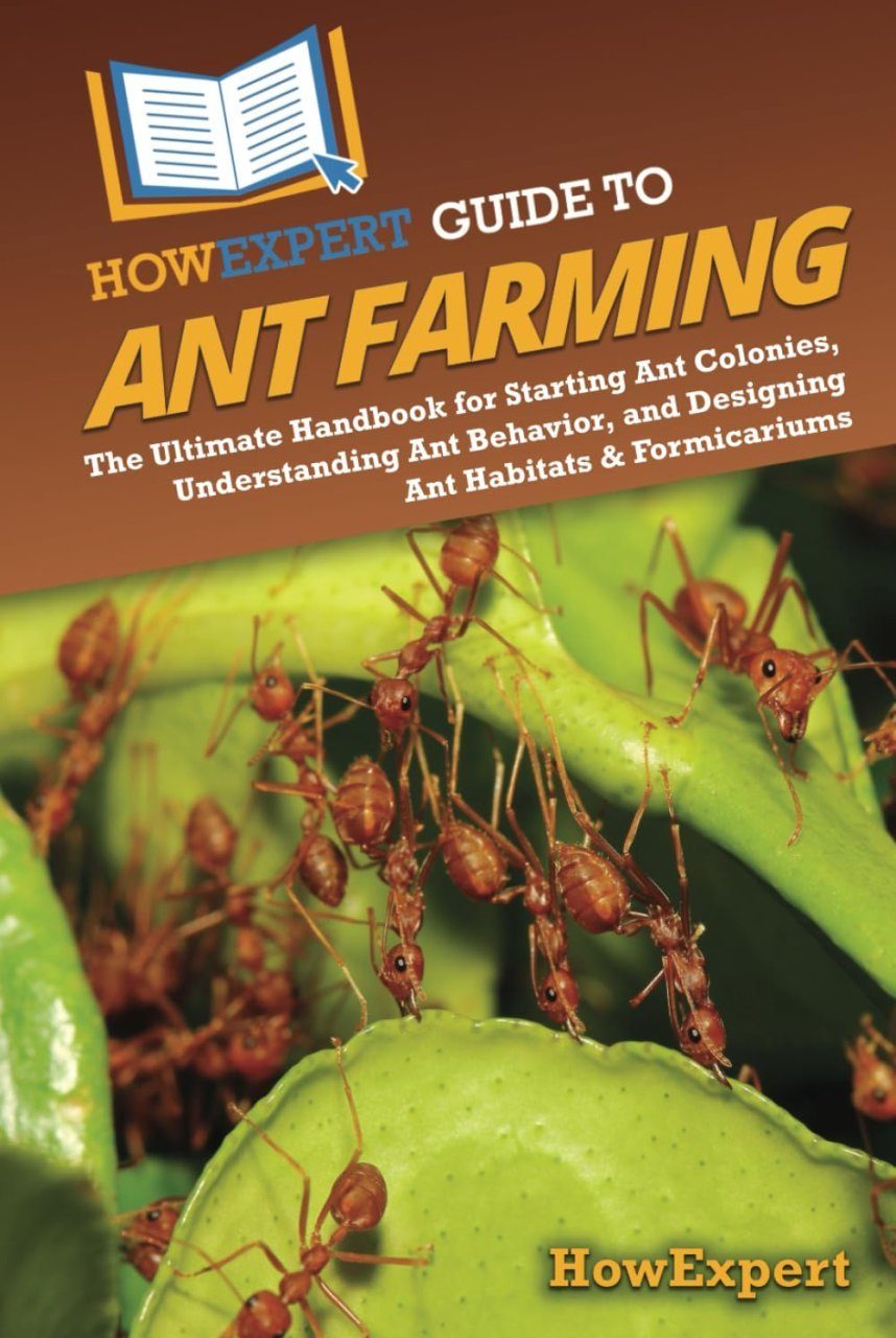 HowExpert Guide to Ant Farming | NHBS Academic & Professional Books