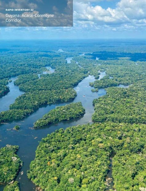 Rapid Biological and Social Inventories Report, Volume 32: Guyana: Acarai-Corentyne Corridor