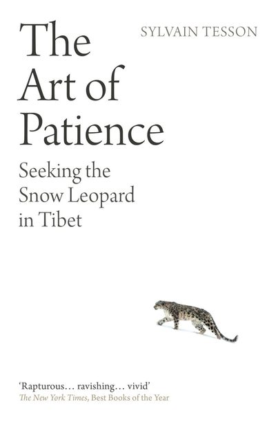 The Art of Patience