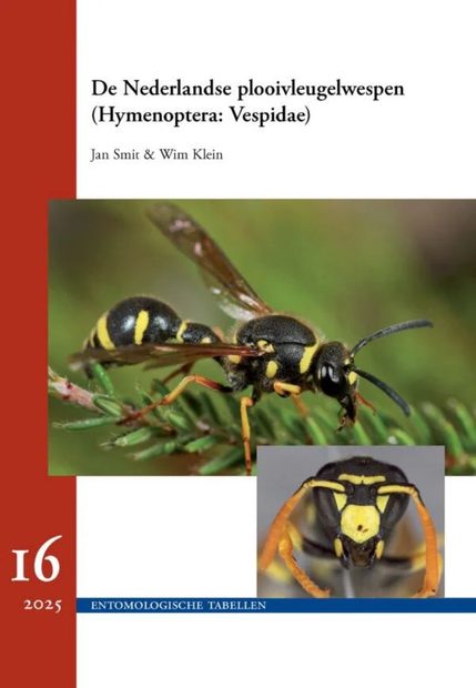 De Nederlandse Plooivleugelwespen (Hymenoptera: Vespidae) [The Dutch Vespidae Wasps]