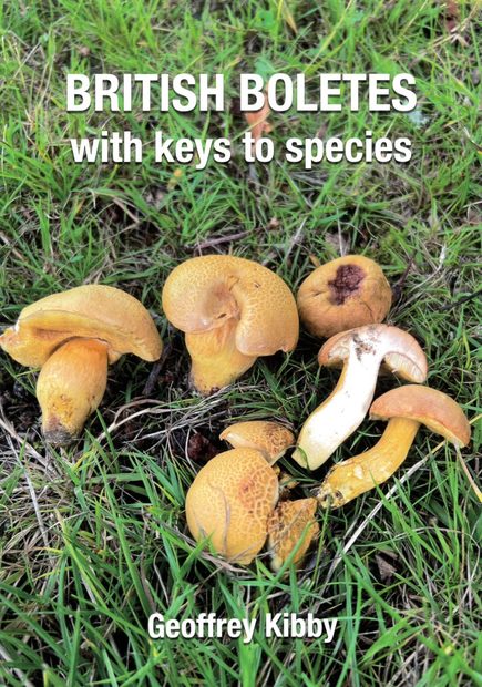 British Boletes