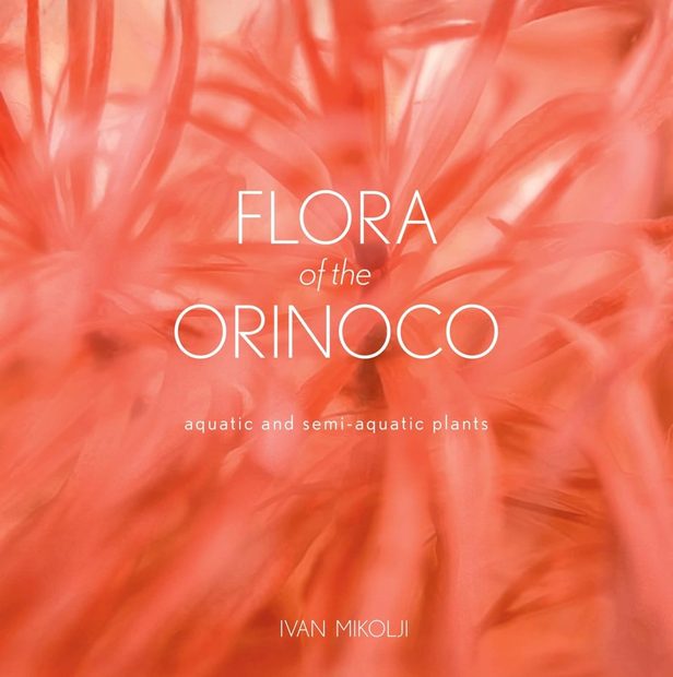 Flora of the Orinoco