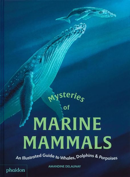Mysteries of Marine Mammals