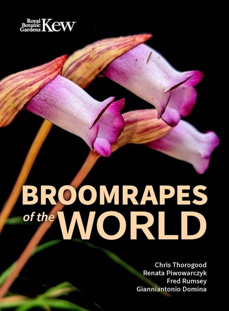 Broomrapes of the World