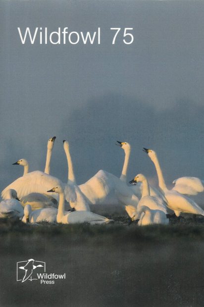 Wildfowl, Issue 75