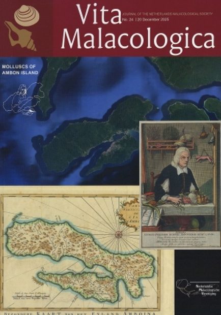 Vita Malacologica, Volume 24: Molluscs of Ambon Island