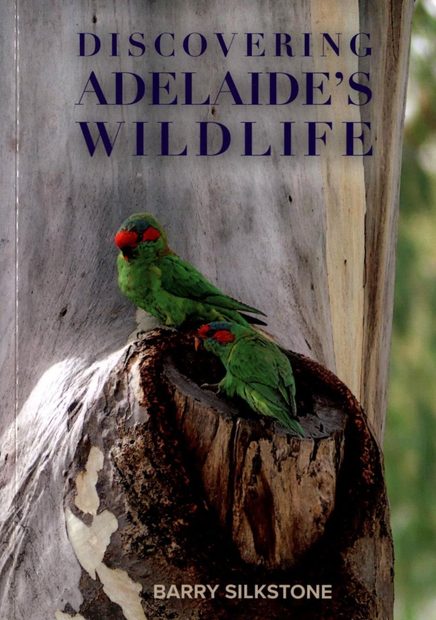 Discovering Adelaide’s Wildlife