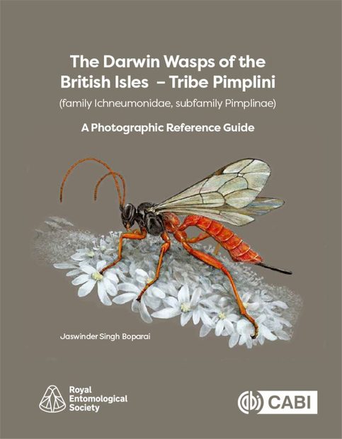 The Darwin Wasps of the British Isles – Tribe Pimplini (Family Ichneumonidae, Subfamily Pimplinae)