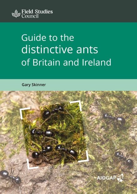 Guide to the Distinctive Ants of Britain and Ireland