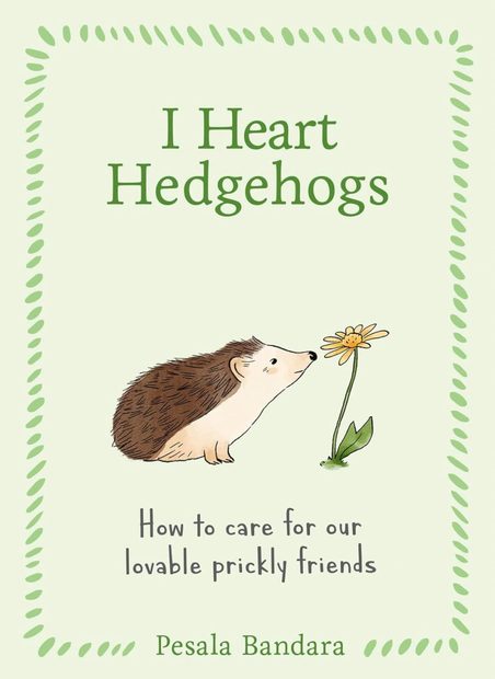 I Heart Hedgehogs