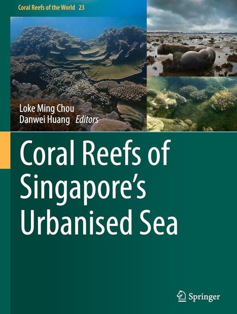 Coral Reefs of Singapore's Urbanised Sea