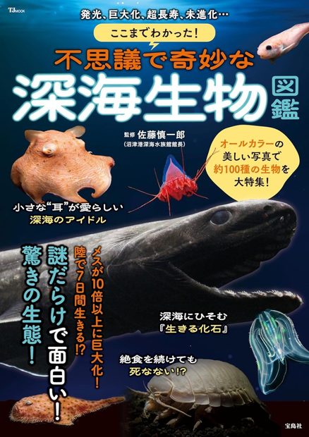Fushigide Kimyōna Shinkai Seibutsu Zukan [A Guide to Strange and Mysterious Deep-Sea Creatures]