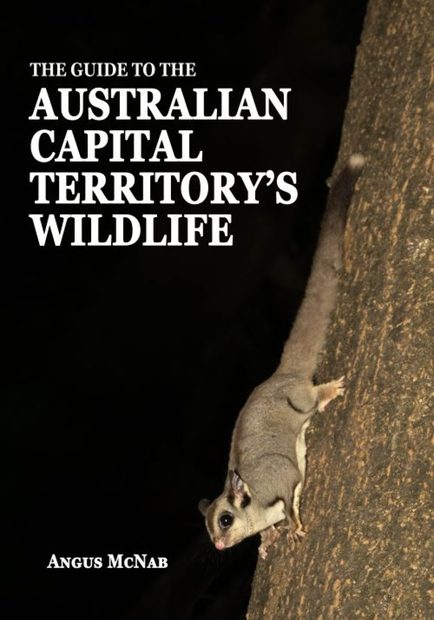 The Guide to the Australian Capital Territory’s Wildlife