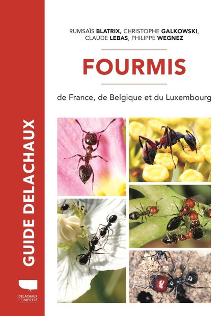 Fourmis de France, de Belgique et du Luxembourg [The Ants of France, Belgium, and Luxembourg]