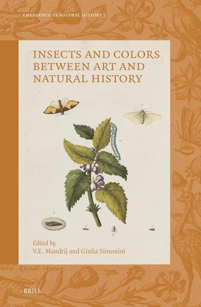 Insects and Colors between Art and Natural History