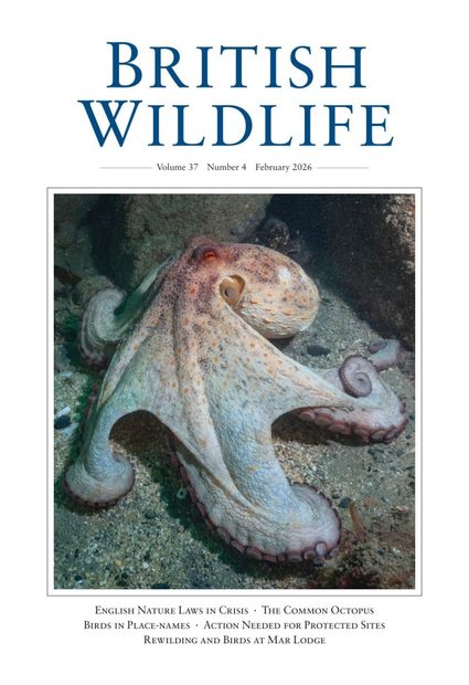 British Wildlife 37.4 February 2026
