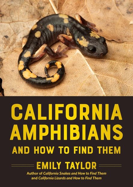 California Amphibians and How to Find Them