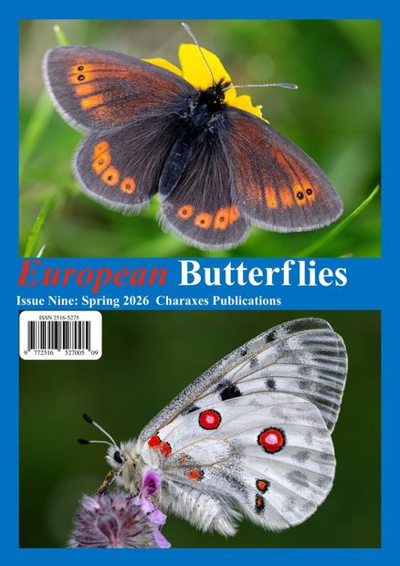 European Butterflies, Issue 9: Spring 2026