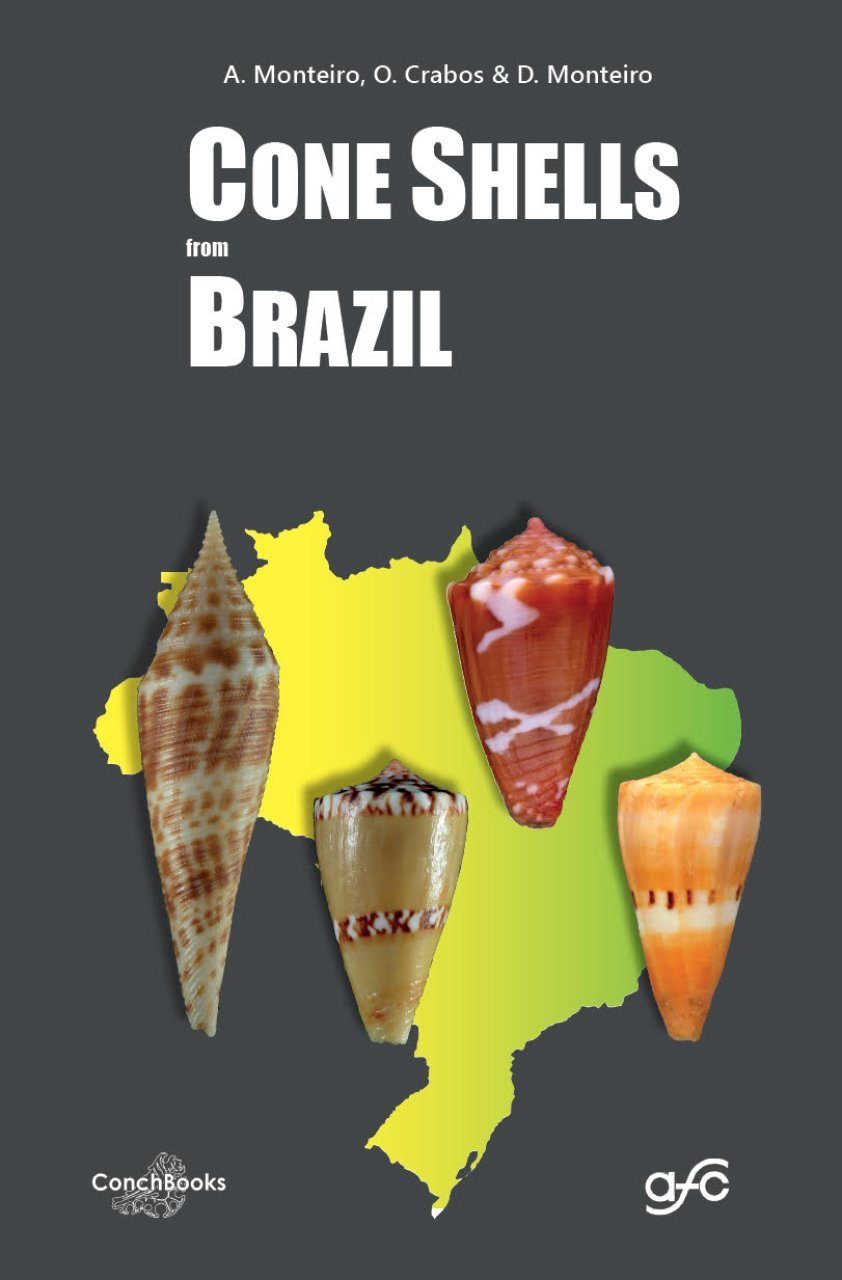 Cone Shells from Brazil | NHBS Academic & Professional Books