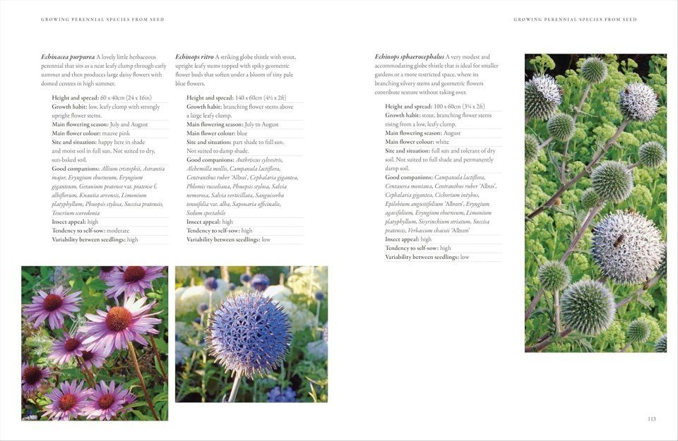 In Nature's Slipstream: How to Turn Your Garden into a Haven for Nature ...