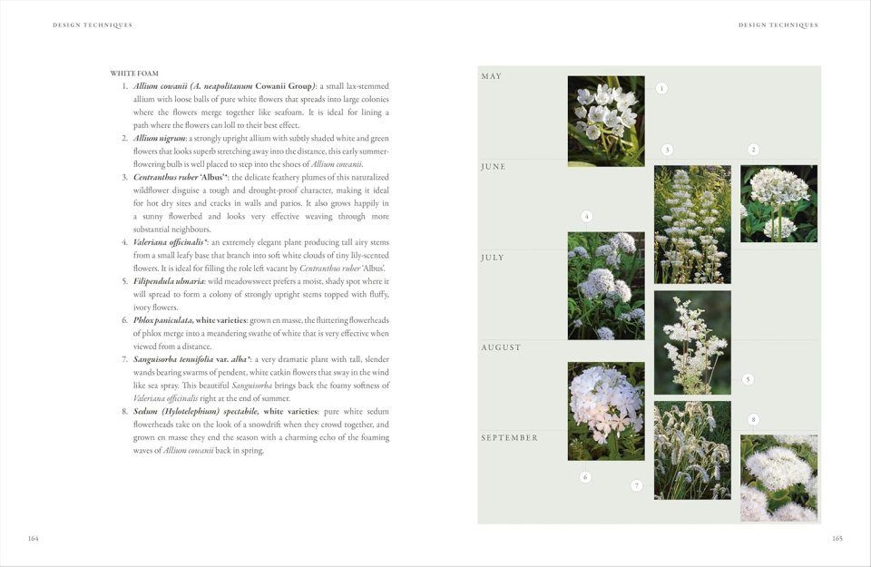 In Nature's Slipstream: How to Turn Your Garden into a Haven for Nature ...
