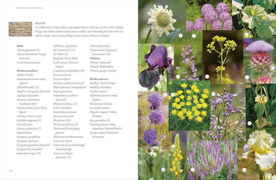 In Nature's Slipstream: How to Turn Your Garden into a Haven for Nature ...