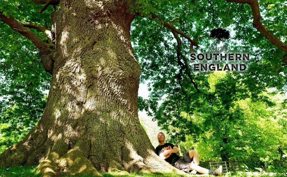 The Ancient Tree Explorer: Over 300 Heritage Trees and Forests in ...