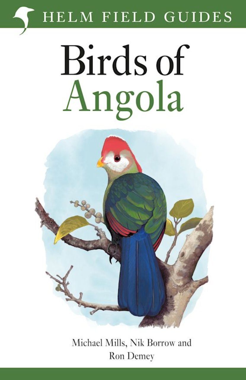 Birds of Angola | NHBS Field Guides & Natural History