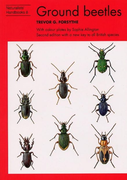Ground Beetles