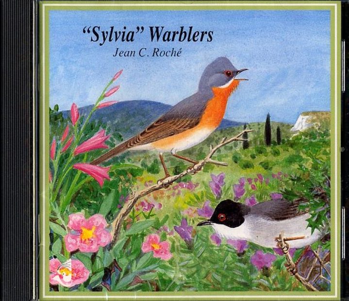 Sylvia Warblers / Fauvettes 'Sylvia'