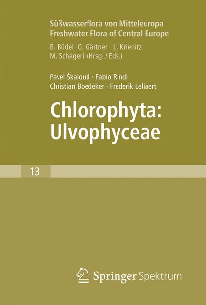 Süßwasserflora von Mitteleuropa, Bd 13: Chlorophyta: Ulvophyceae [English]