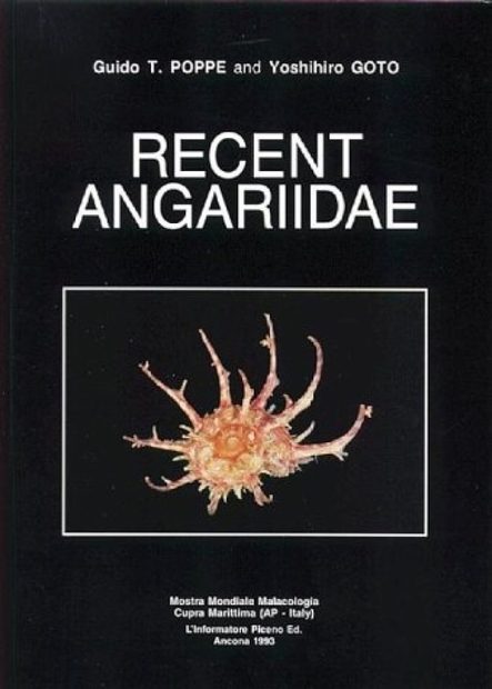 Recent Angariidae