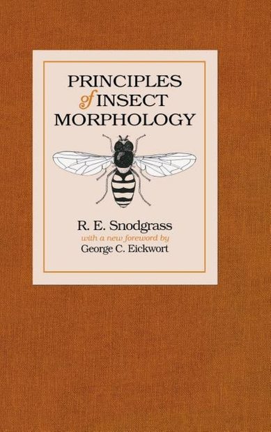 Principles of Insect Morphology | NHBS Academic & Professional Books