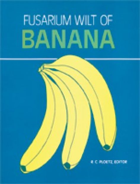 Fusarium Wilt of Banana
