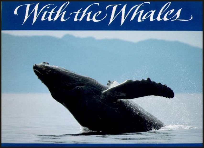 With the Whales