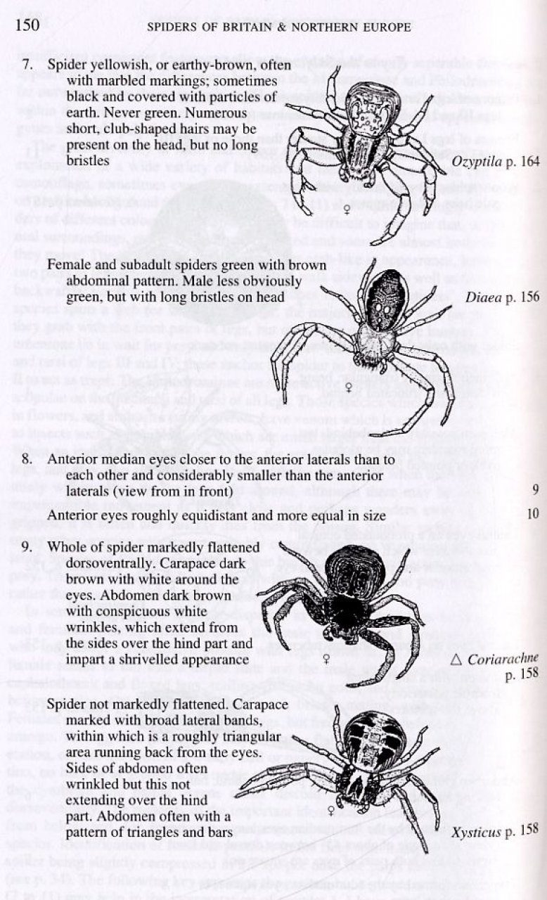 Collins Field Guide To The Spiders Of Britain And Northern