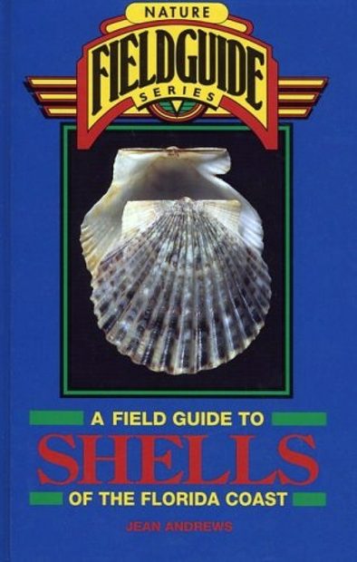 A Field Guide to Shells of the Florida Coast
