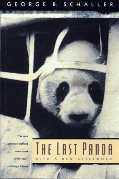 The Last Panda